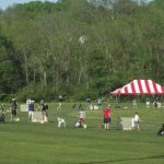 Harpeth Valley Golf Center